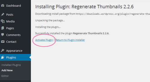 How to activate pligins in WP theme