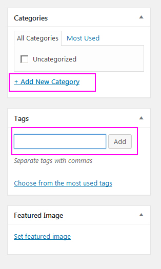 How to add category and tag in new WordPress post