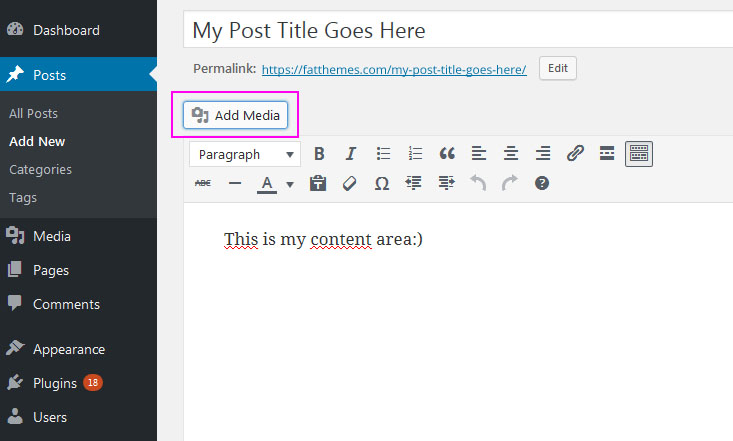 Add image in WP blog theme