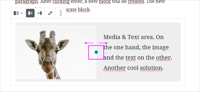 Media & Text Block in WordPress block editor