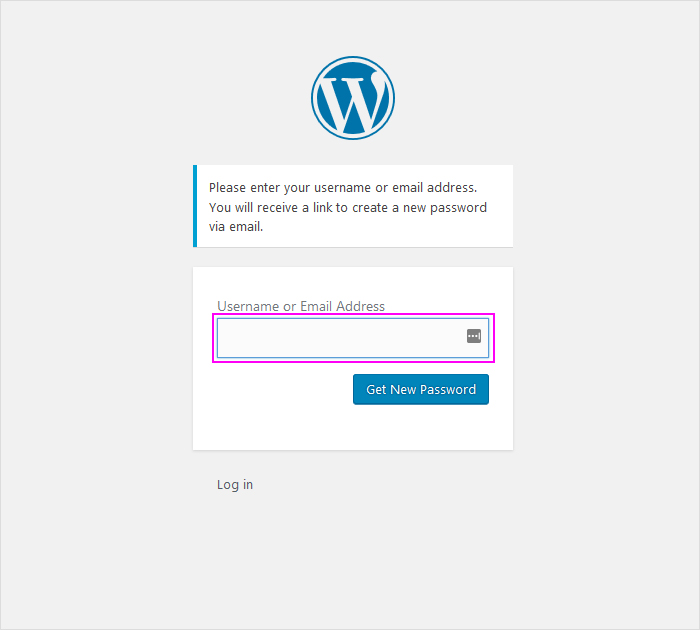 Changing the password in WordPress
