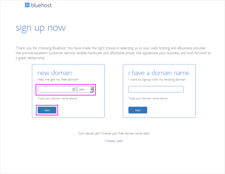 Choose your domain name for your blog