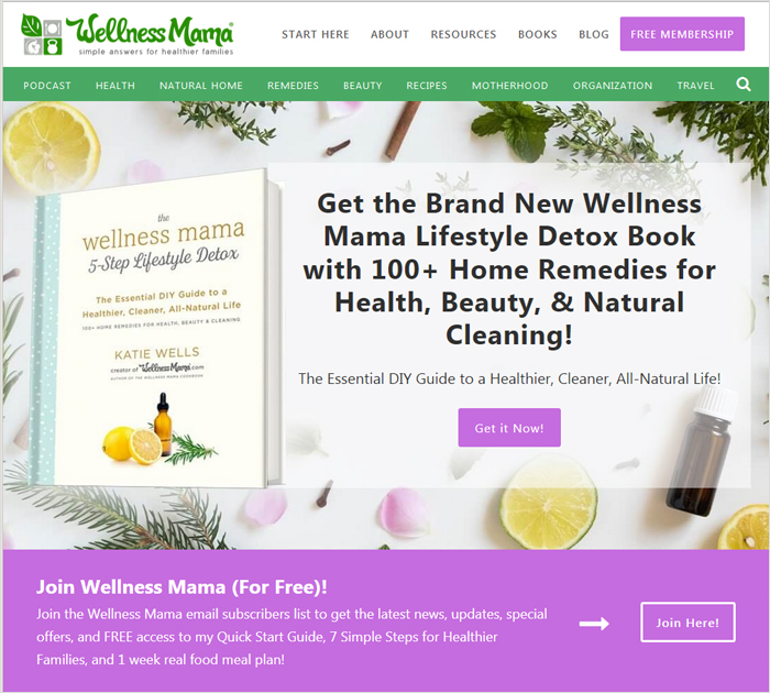 Wellness Mama - The best blogs in DIY category site screen shot