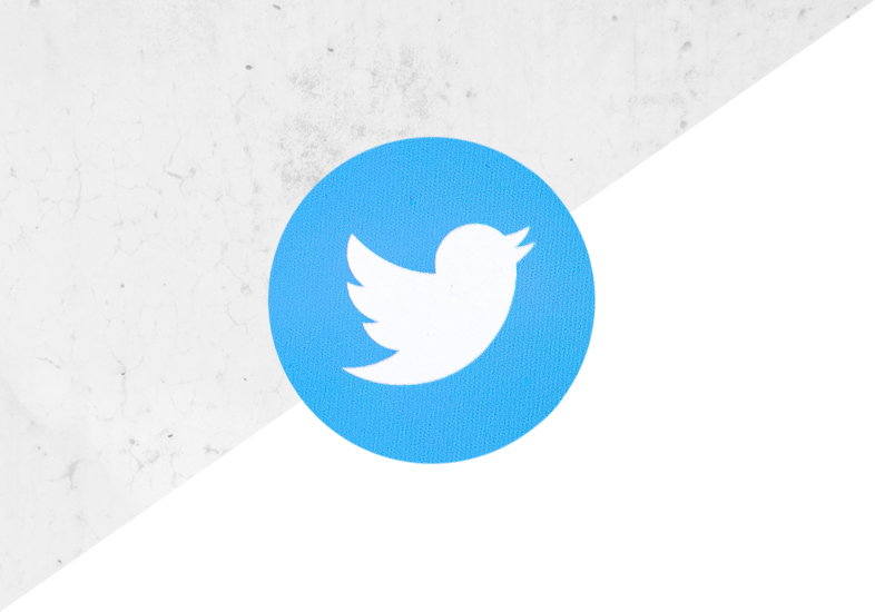 White bird on a blue background - twitter logo