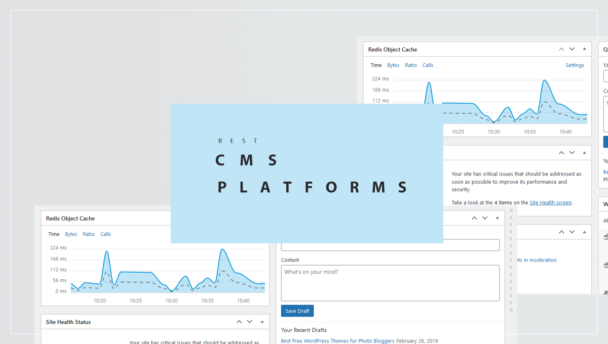 6 Best CMS Platforms to Build a Website On