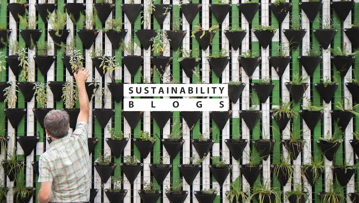 Must Follow Sustainability Blogs