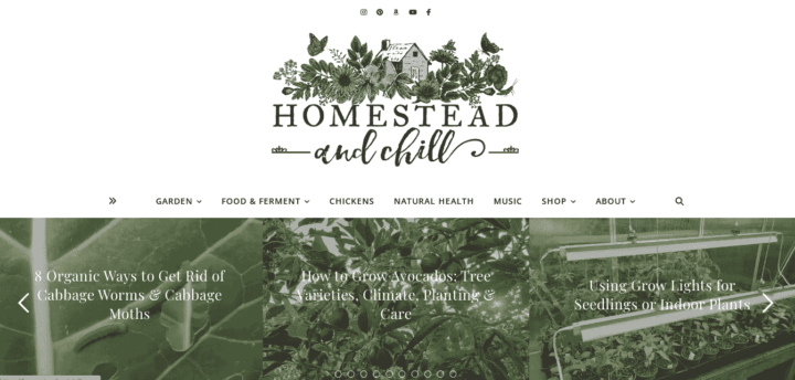 homestead and chill gardening blog home page