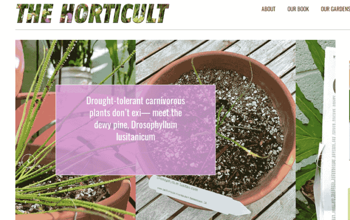 The Horticult Gardening Blog Home Page