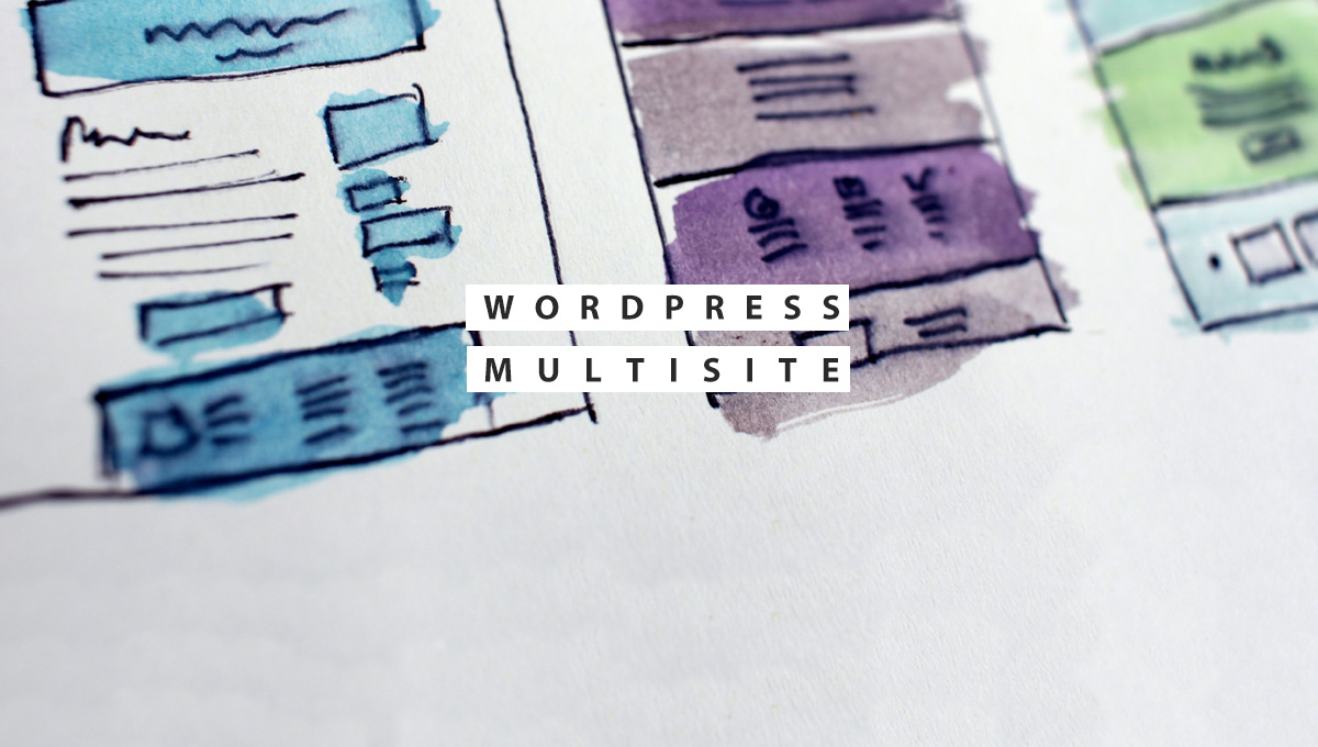 What is WordPress Multisite