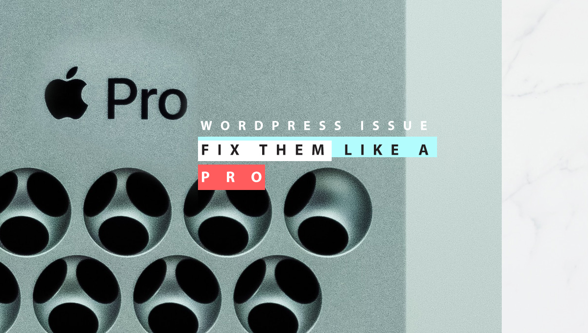 WordPress Development Issues : How to Fix them  Like a Pro