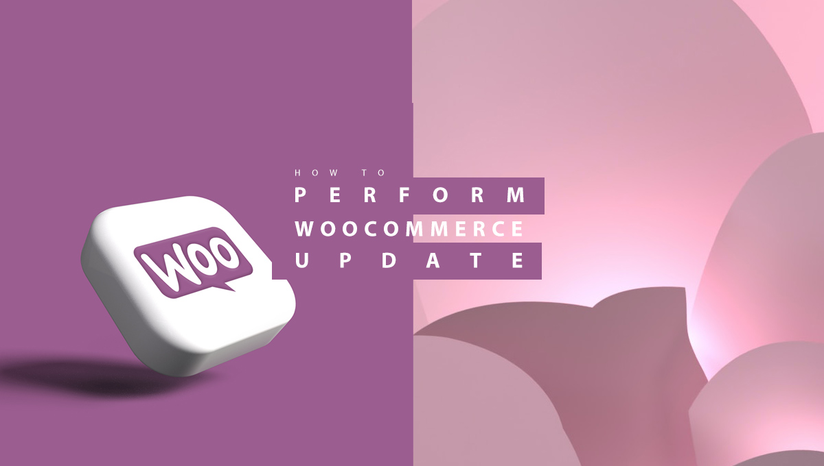 How to Perform WooCommerce Update