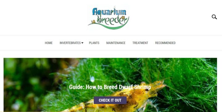 aquarium breeder pet blog home page