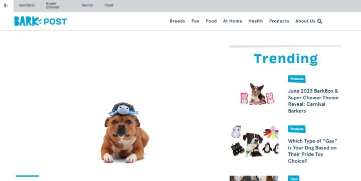 Dog 2024 products websites