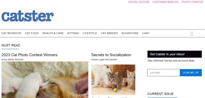 catster homepage