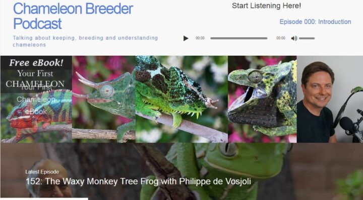 chameleon breeder podcast home