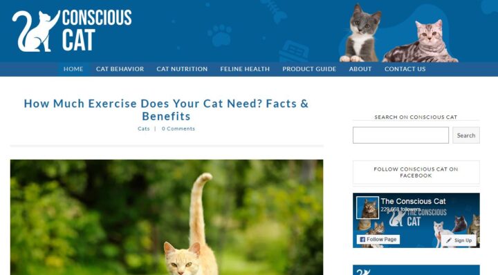conscious cat homepage