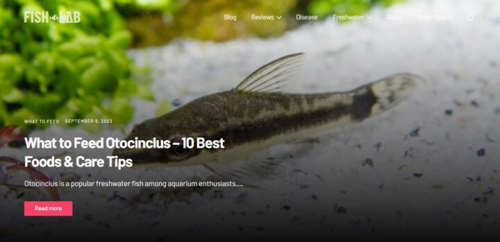 fish lab blog home