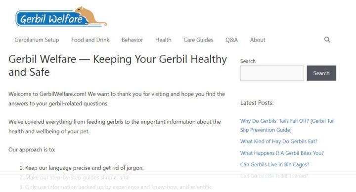 gerbil welfare pet blog home page