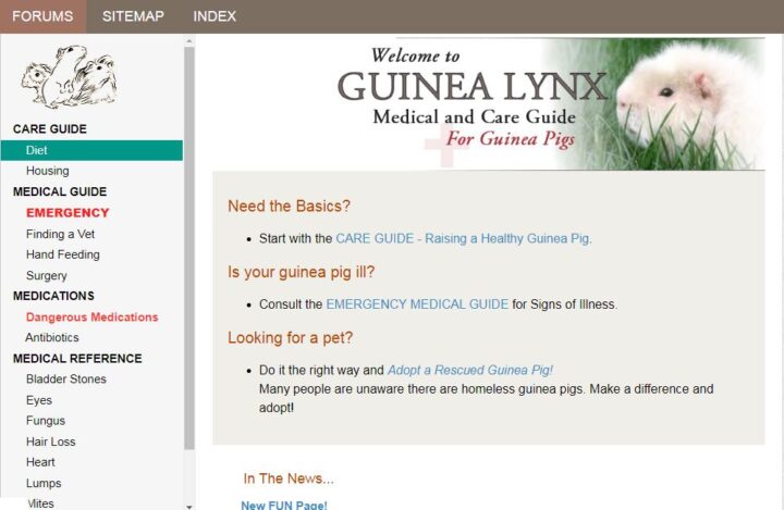 guinea lynx blog home page