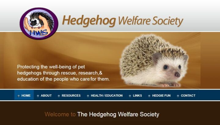 hedgehog welfare society homepage