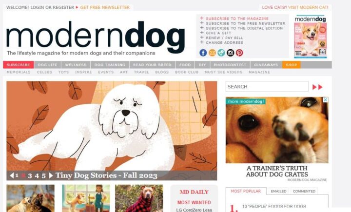 modern dog pet blog homepage