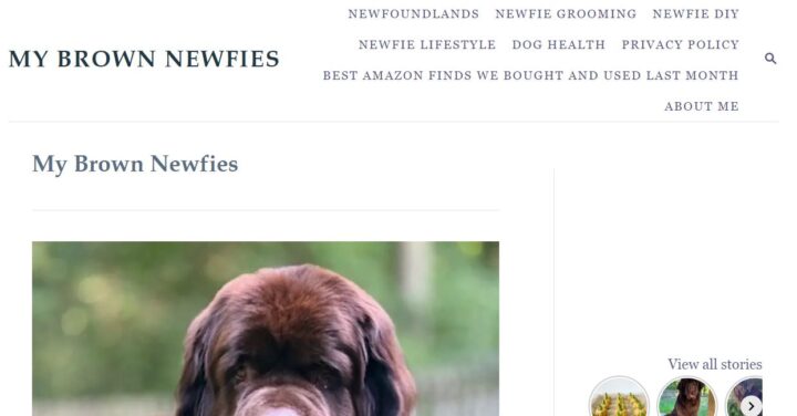 my brown newfies homepage