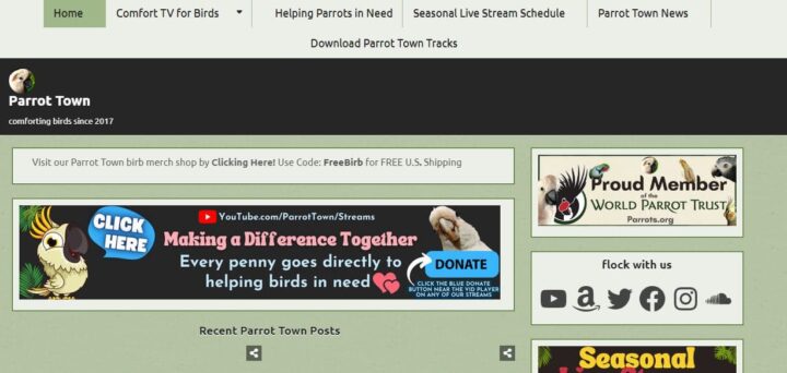 parrot town pet blog home page