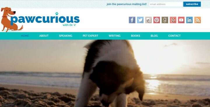 pawcurious pet blog home page