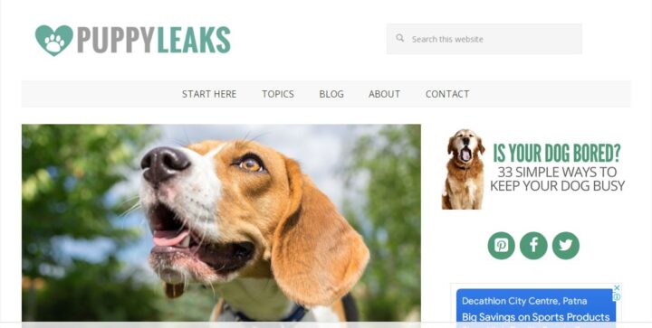 puppy leaks pet blog home