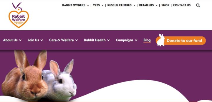 rabbit welfare association and fund home