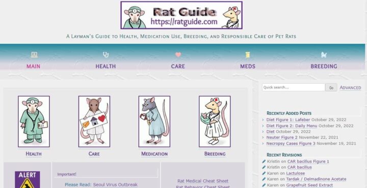 rat guide pet blog home page