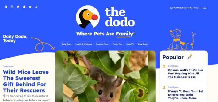 the dodo pet blog home page