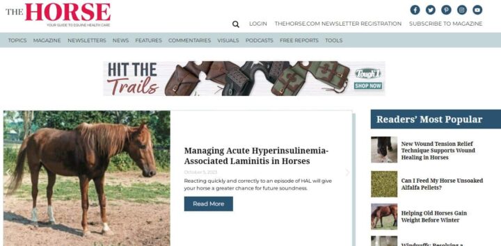 the horse pet blog home page