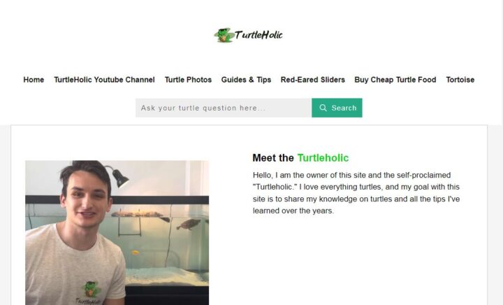 turtleholic pet blog home page