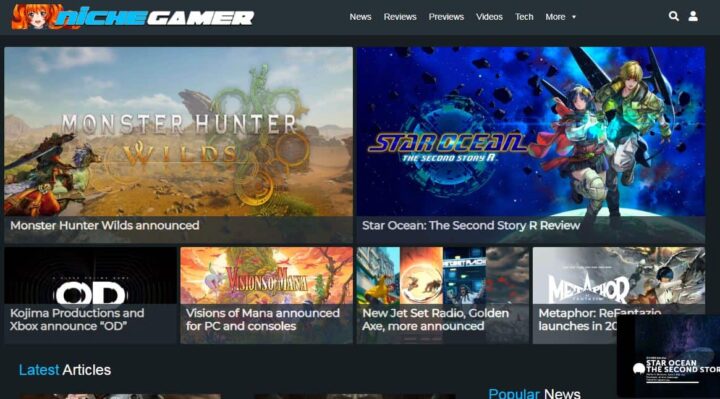 niche gamer gaming blog home page