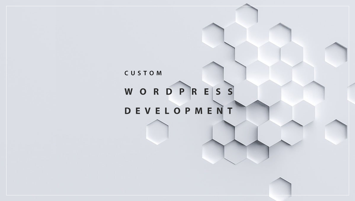 Elevate Your Business with Custom WordPress Development